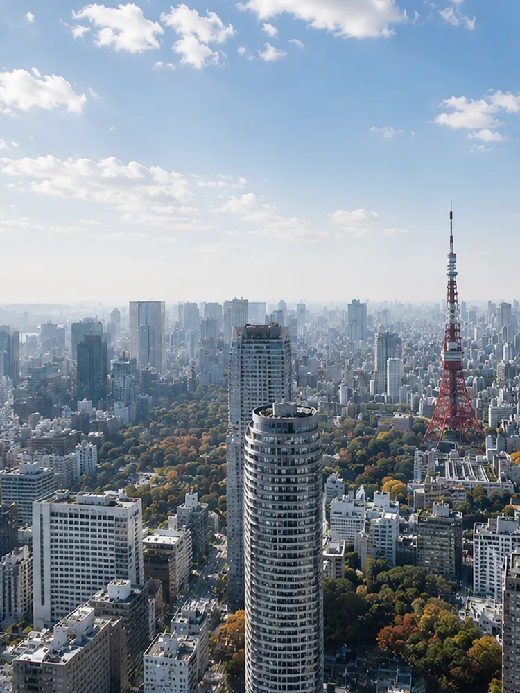 東京タワーを望む都市の街並み